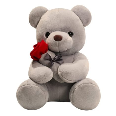 Orsacchiotto Rosa per San Valentino, Regalo Dolce per Fidanzata! Perfetto per Anniversario e Compleanno!