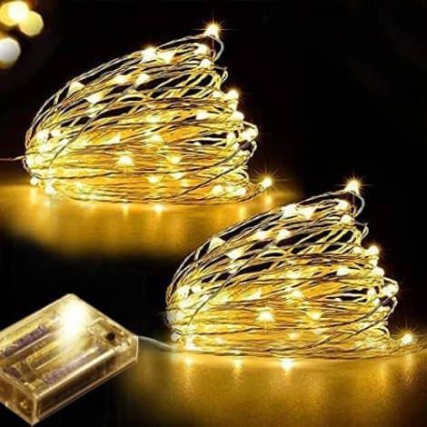 Luci decorative a batteria per albero di Natale o presepe – LAC FUTURE 2 5 M con 50 mini luci LED. (Bianco caldo).