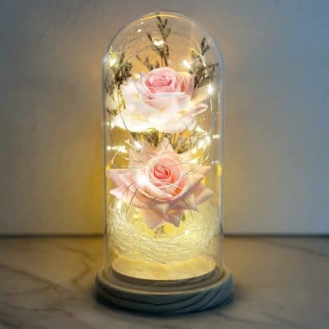 Rose Incantate Eterne nella Cupola, Kit di Rose Romantico con Luce LED, Regalo per San Valentino, Anniversario, Festa della Mamma.