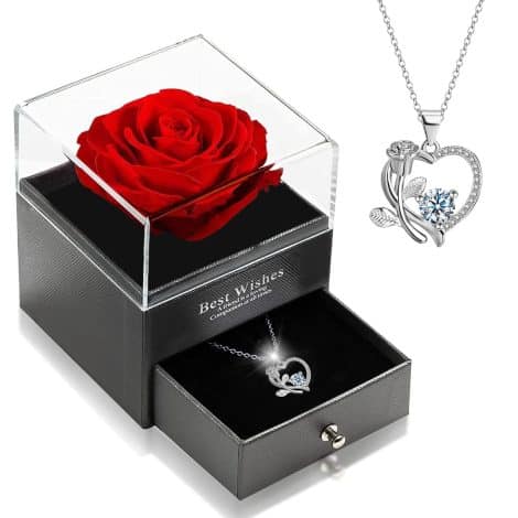 Rosa eterna stabilizzata con collana, regalo perfetto per compleanni, festa della mamma, anniversari e San Valentino.