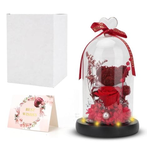 Orsetto Rosa Eterna con luci LED, Base in Legno e Confezione Regalo – Ideale per regali speciali!