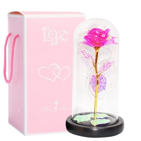 Rosa immortale in una campana, La Bella e la Bestia, Rosa finta con luci LED, Dono da donna, San Valentino, festa della mamma (Rosa)