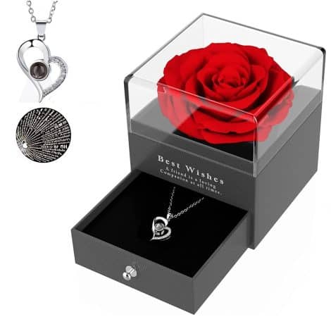 Regalino Rosa Eterna Stabilizzata per Lei, Confezione Regalo Natale, Anniversario, Compleanno, Matrimonio, Fidanzamento, Mamma