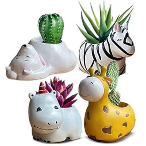Set di 4 vasi animali per piante da interno, incluso giraffa, ippopotamo, zebra e orso polare. Perfetto come regalo!