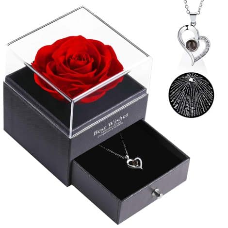 Rosa Stabilizzata Vera con Collana: perfetto regalo per donna, fidanzata, compleanno, anniversario, matrimonio, San Valentino, Natale, festa della mamma.