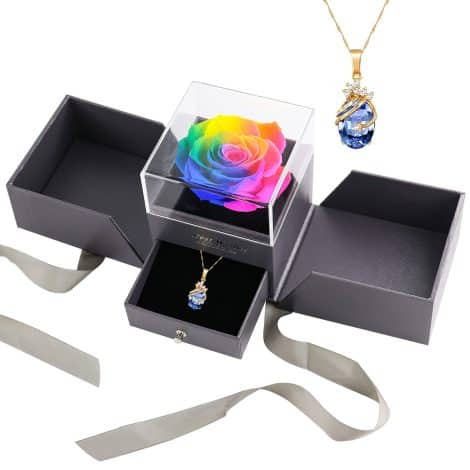 MINCHEDA Rosa Eterna e Collana, Set Regalo Fiori Stabilizzati per festeggiare la Mamma, San Valentino, Anniversario o Compleanno per Lei.