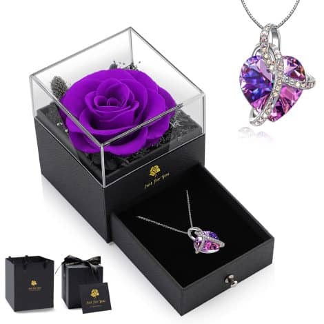 Rosa eterna LEITON con collana di cristallo, scatola di rose infinite, set regalo per lei. Perfetto per occasioni speciali.