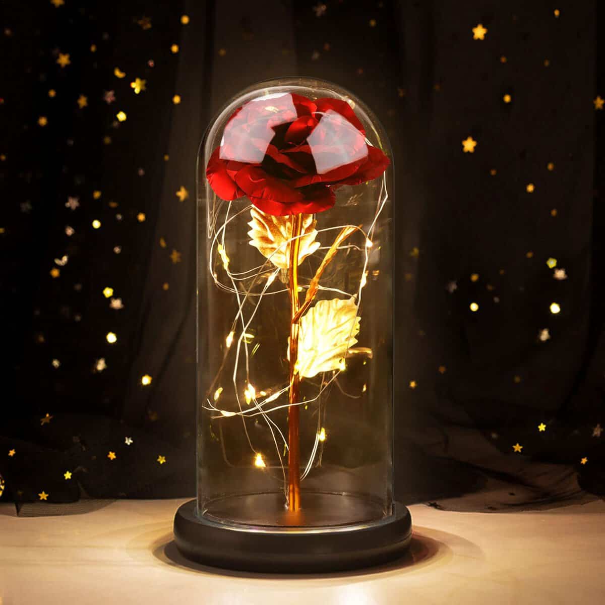 Joyhoop Rosa Eterna Rossa, Bella e la Bestia, in Vetro con Led Luci, Donna Compleanno, Festa Della Mamma, Idee Regalo San Valentino, Anniversario, per Lei