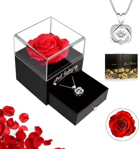 Rosa Stabilizzata ELEUTH con Collana: Ideale come regalo per lei, compleanno, anniversario, San Valentino o Natale.