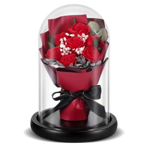 Rose eterne in vetro, Idea regalo per donne, Rosso, Cupola TangDouJM, Regalo di compleanno o San Valentino.