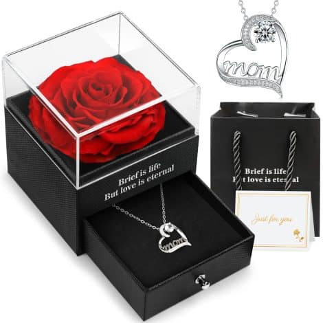 Rosa eterna stabilizzata con collana, ideale come regalo per Natale, San Valentino o compleanno di mamma.