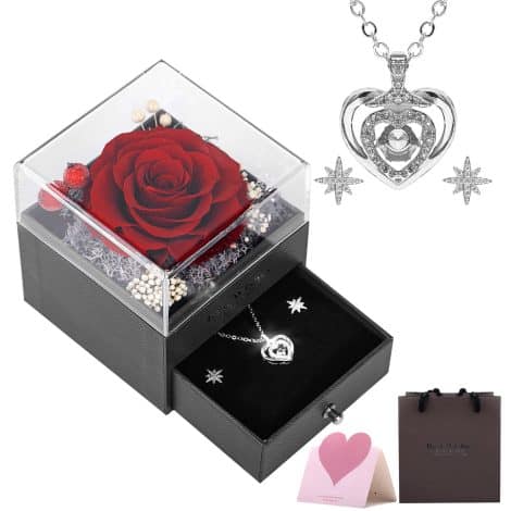 Eterno Fascino Rosa, Idee Regalo per Donne: Portagioie con Collana e Orecchini, Perfetto per Festività.