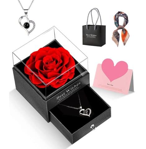 GOICC Idea di Regalo per Lei, Rosa Eterna con Collana “I Love You”, Confezione per Festa della Mamma, Compleanno, Anniversario, Regalo per Mamma, Fidanzata, Moglie (Rosso)