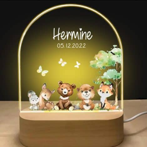 Lampada Notturna Personalizzata per Neonata – Un regalo speciale per la nascita, battesimo o anniversario!