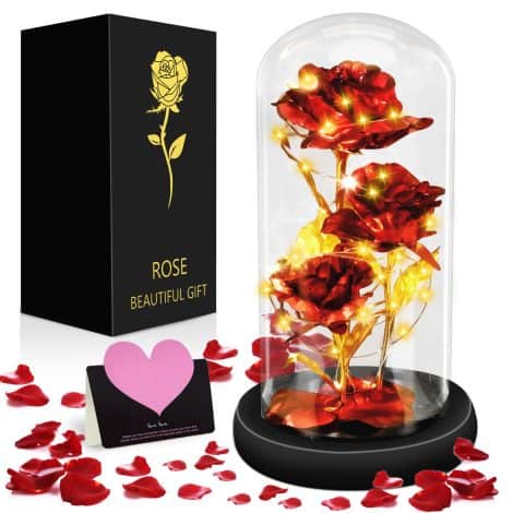 Rosa Eterna La Bella e La Bestia in Cupola di Vetro con Base Luminosa, Regalo Ideale per Fidanzata, Mamma, Anniversario.