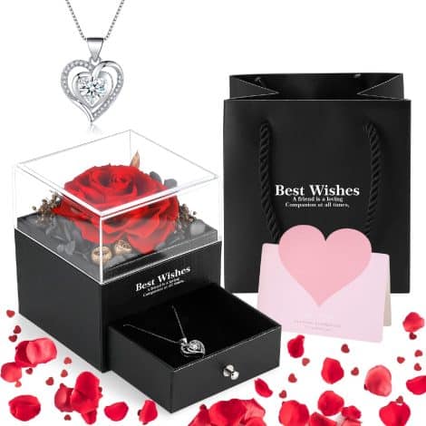 Regalo romantico perfetto: Set regalo Daover Rosa Eterna con Rosa Stabilizzata e Collana Cuore per lei.