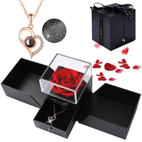 Regalo Gioiello Rosa Eterna, Rose La Bella e la Bestia, Fiore Eterno, Ideale per San Valentino e Festa della Mamma