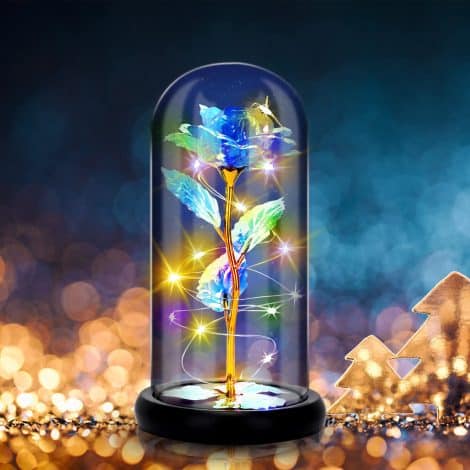 RANJIMA Rosa Eterna: Rosa in Vetro con Luci Led, Regalo Perfetto per Feste, Compleanni e Anniversari.