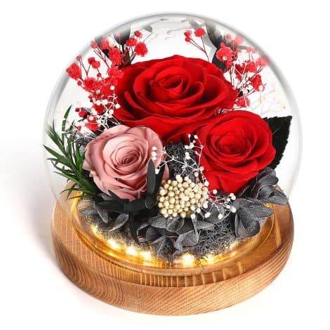 Confezione regalo di rose rosse vere stabilizzate eternamente, ideale per compleanni, anniversari e festività.