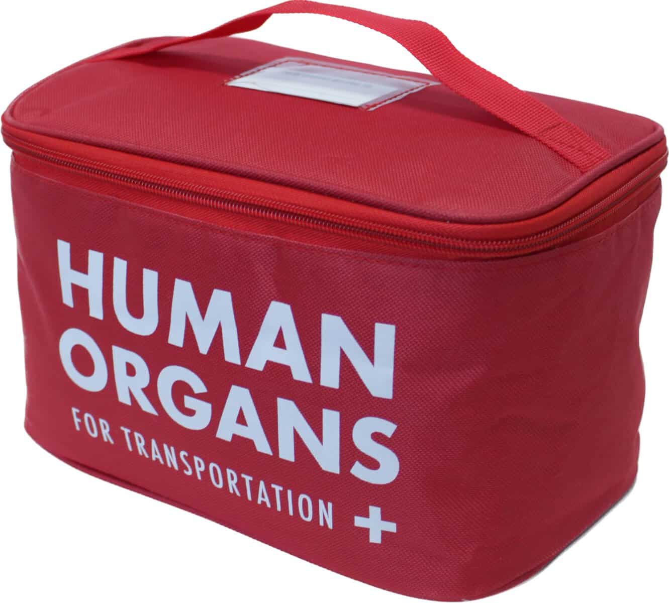 Diabolical DP1293 Borsa termica per il pranzo con organi umani da uomo, regalo divertente per ufficio, borsa per il pranzo al sacco, regali di Babbo Natale segreto per colleghi di lavoro, regali per