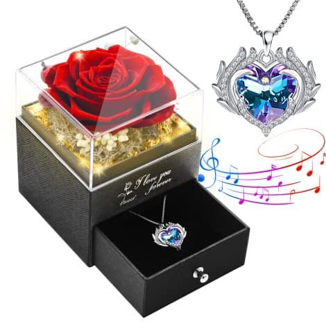 Regali natalizi per lei: un set regalo con collana, una rosa stabilita vera e fatta a mano per la sua donna.