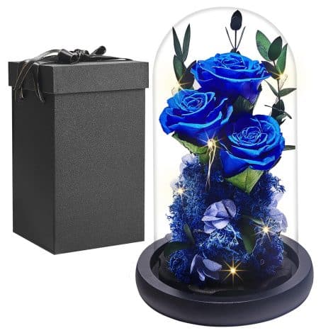 Regalo Eterno per Donne: Rosa Stabilizzata in Cupola con Luci LED, ispirata a Bella e la Bestia. Perfetto per festeggiare compleanni, Festa della Mamma, San Valentino o anniversari. Sorprendi tua moglie, mamma o fidanzata!