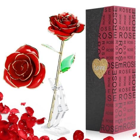 “Fascino geek 24k in oro rosa placcato, con scatola regalo e supporto. Rosa stabile eterna, regalo ideale per occasioni speciali.”