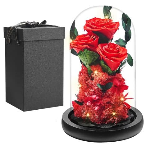Rosa eterna in cupola di vetro con luci LED, regalo perfetto per compleanni, festa della mamma, San Valentino e anniversari.