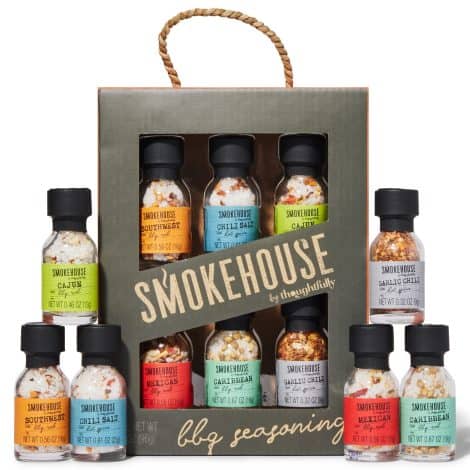 Modern Gourmet Foods, Assortimento Spezie BBQ, 6 pz, incl. Southwest BBQ Rub, Chilli Salt, Cajun BBQ Rub, Mexican BBQ Rub e altro, 25 ml.