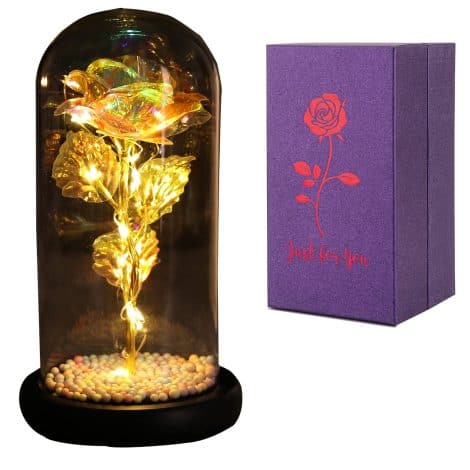 SUOHINAO Rosa Eterna, Set Bella e Bestia con Luce LED, Ideale per San Valentino, Festa della Mamma, Compleanno: il dono perfetto per lei!
