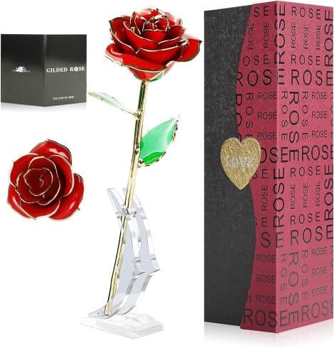Fiore Rosa Oro Rosa Eterna con Supporto – Regalo Romantico Festa della Mamma,Anniversario,Matrimonio- Beauty in rosa.