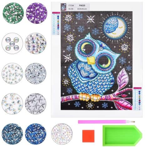 Quadro 5D di Diamanti con Gufo per Bambine di 9-12 Anni, Regalo Ideale, Accessori Inclusi.