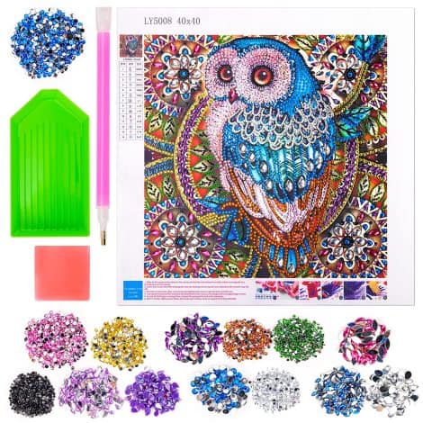 Kit per la pittura diamantata 5D con immagine del gufo, regalo per bambine e ragazzi adolescenti dai 9 ai 13 anni.